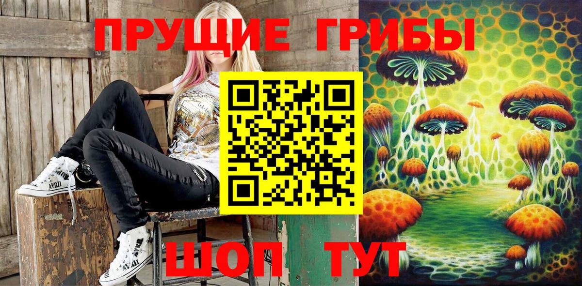 Псилоцибиновые грибы MAGIC MUSHROOMS  Вход с VPN  сколько стоит  Корсаков 